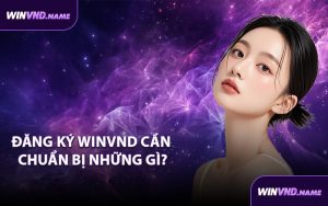 Đăng ký WINVND cần chuẩn bị những gì?
