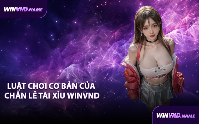 Luật chơi cơ bản của chẵn lẻ tài xỉu WINVND