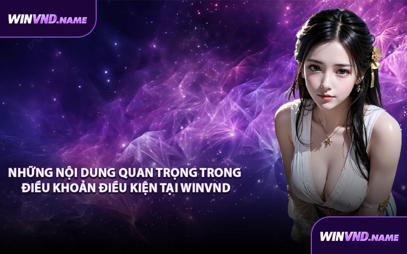 Những Nội Dung Quan Trọng Trong Điều Khoản Điều Kiện Tại WINVND