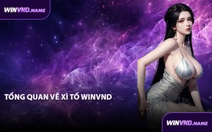 Tổng quan về Xì Tố WINVND